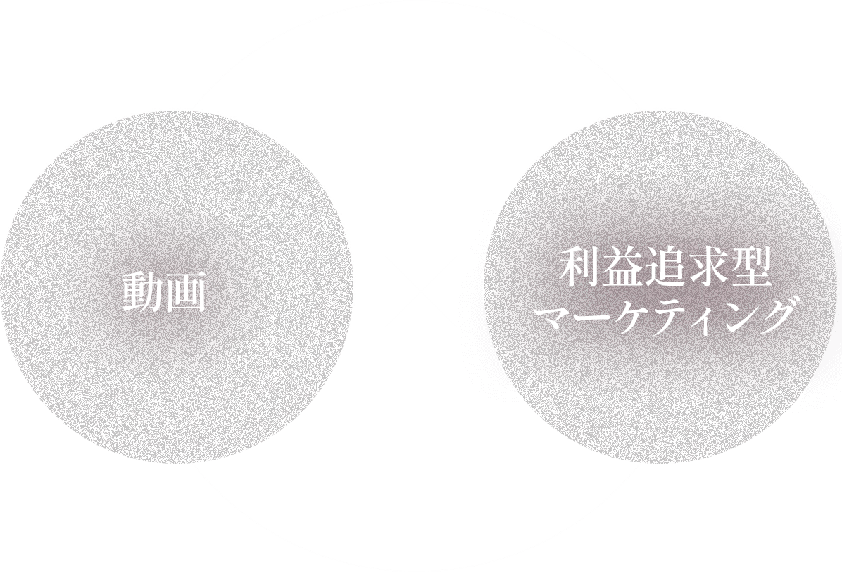 動画×利益追求型マーケティング
